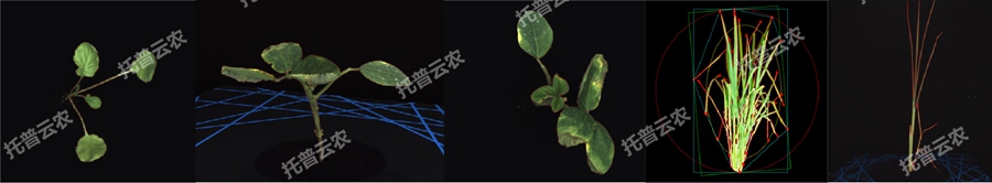 澳ģMֲLOyƽ_-2S